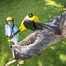 Lawn Drainage Solutions in Westmorland, CA